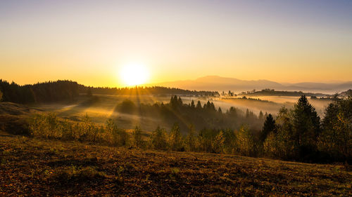 Scenic view of field against sky during sunset