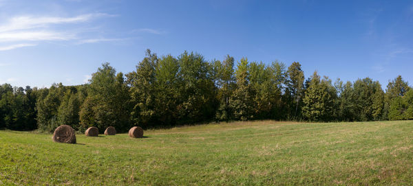 Hay bales on field against sky