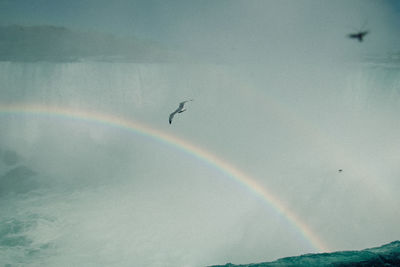 Low angle view of rainbow in sky