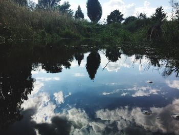 Reflection of trees in lake against sky