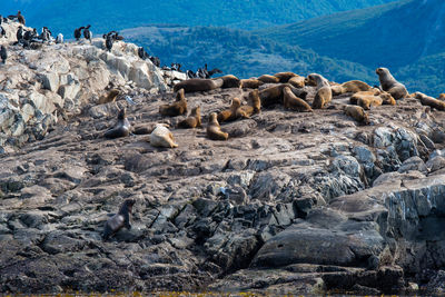 Scenic view of sea and rocks