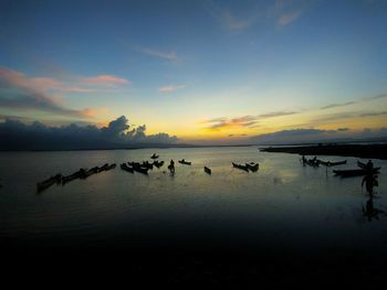 Silhouette birds in sea against sunset sky