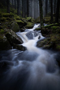 Creek flowing between moss-grown rocks through a moody forest