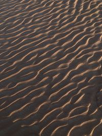 Full frame shot of sand dune