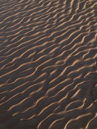 Full frame shot of sand dune