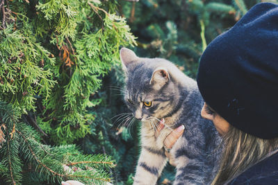 Close-up of woman with cat against trees in park