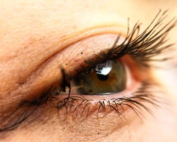 Extreme close up of human eye