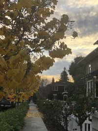 Street amidst buildings against sky