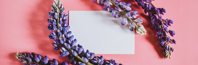 Close-up of lavender hanging against wall