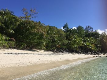 Scenic view of beach against clear sky