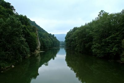 Scenic view of lake amidst trees against sky