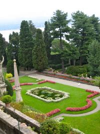 Scenic view of trees and plants against sky