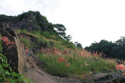 Scenic view of land against sky