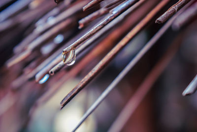 Close-up of water drops on metal