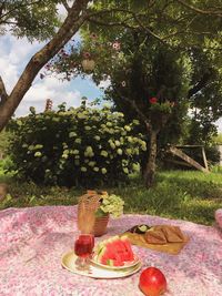 View of drink on table against plants in yard