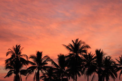 Silhouette palm trees against sky during sunset