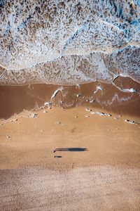 Aerial view of beach