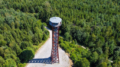 High angle view of road amidst trees in forest