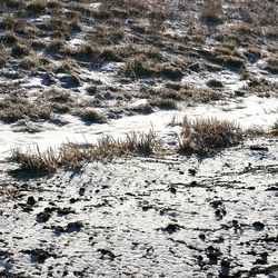 Full frame shot of wet shore