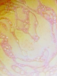 Extreme close up of food