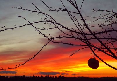 Silhouette of landscape at sunset