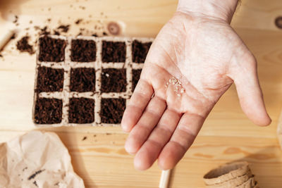 Close-up of a man's hand with seeds for planting lying on it. planting plants and vegetables at home