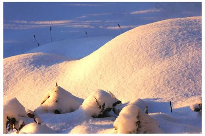 Scenic view of snow covered landscape