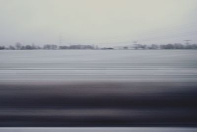 Snow covered trees in winter