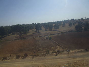 Scenic view of trees on field against sky