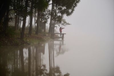 Reflection of trees on lake
