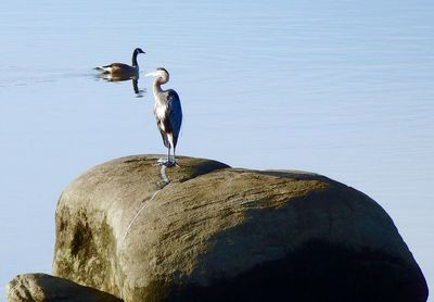 Full length of woman standing on rock