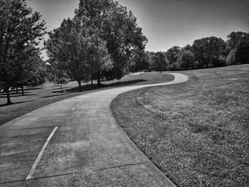 Empty road along trees