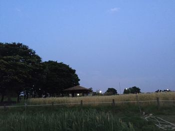 Scenic view of field against clear blue sky