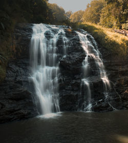 Scenic view of waterfall in forest