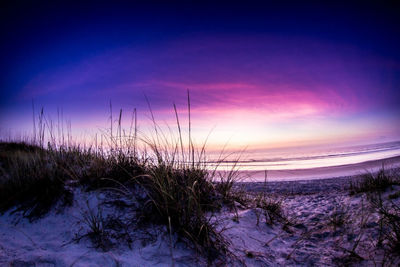 Scenic view of beach against sky during sunset