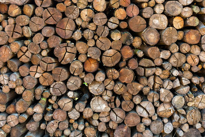 Full frame shot of logs