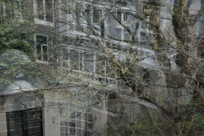 Digital composite image of trees and building