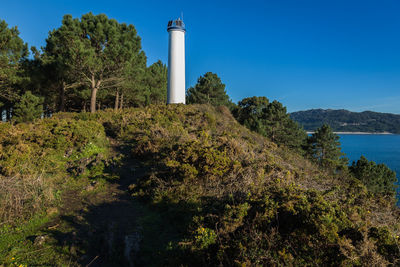 Lighthouse amidst trees and plants against sky