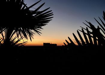 Low angle view of silhouette palm trees at sunset