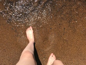 Low section of woman walking on shore at beach