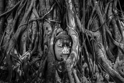 Sculpture of buddha statue in temple
