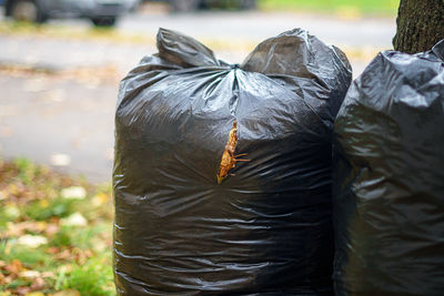 Two black garbage bags full of leaves near the tree