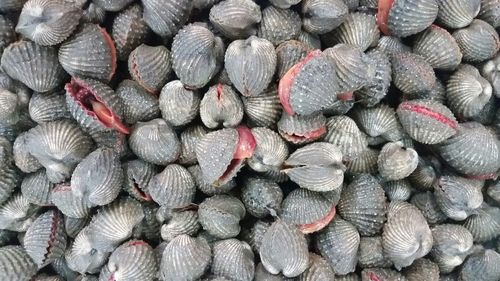 Full frame shot of onions for sale