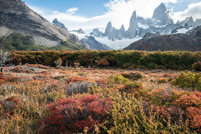 Scenic view of snowcapped mountains against sky in autumn