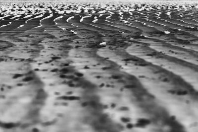 Full frame shot of wet sand