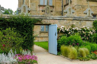Trees and plants growing outside building