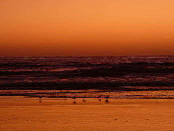 Scenic view of sea against orange sky