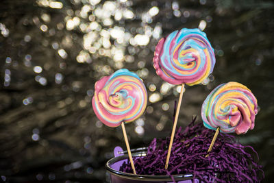 Close-up of multi colored candies