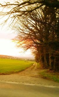 Road amidst trees against sky