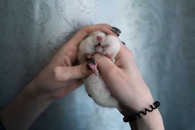 Midsection of woman holding hands